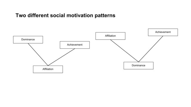 Graphical representation of two different social motivation patterns including dominance, affiliation and achievement.