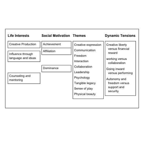 Graphical representation of interests based on life interests, social motivation, themes, and dynamic tenstions.