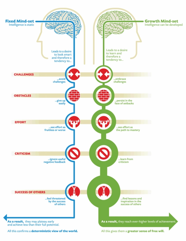 Pathwise's synopsis of mindset: the new psychology of success by Carol Dweck