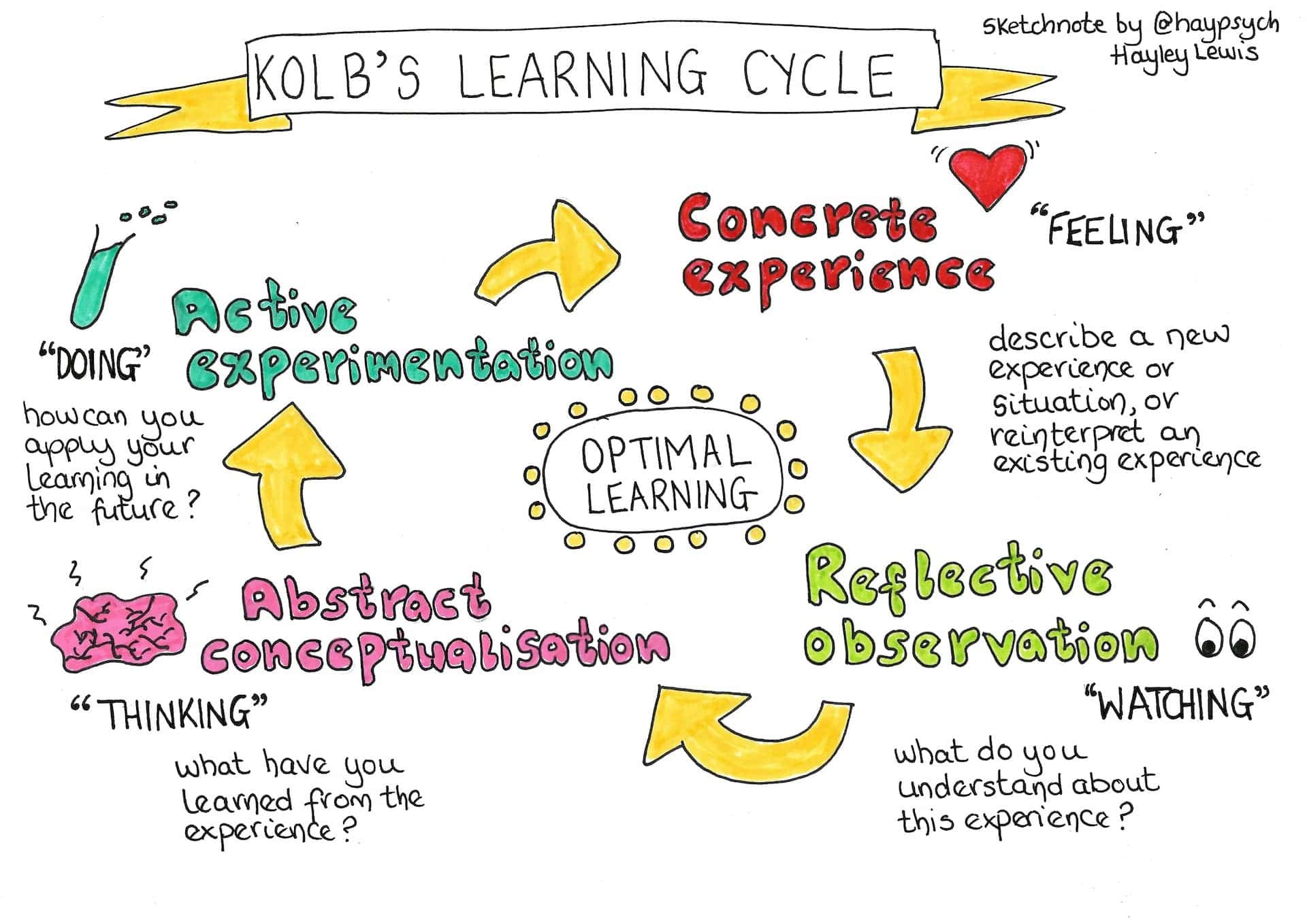 A visual framework summarizing Kolb's Learning Cycle and it's four stages: Concrete Experience, Reflective Observation, Abstract Conceptualization, and Active Experimentation.