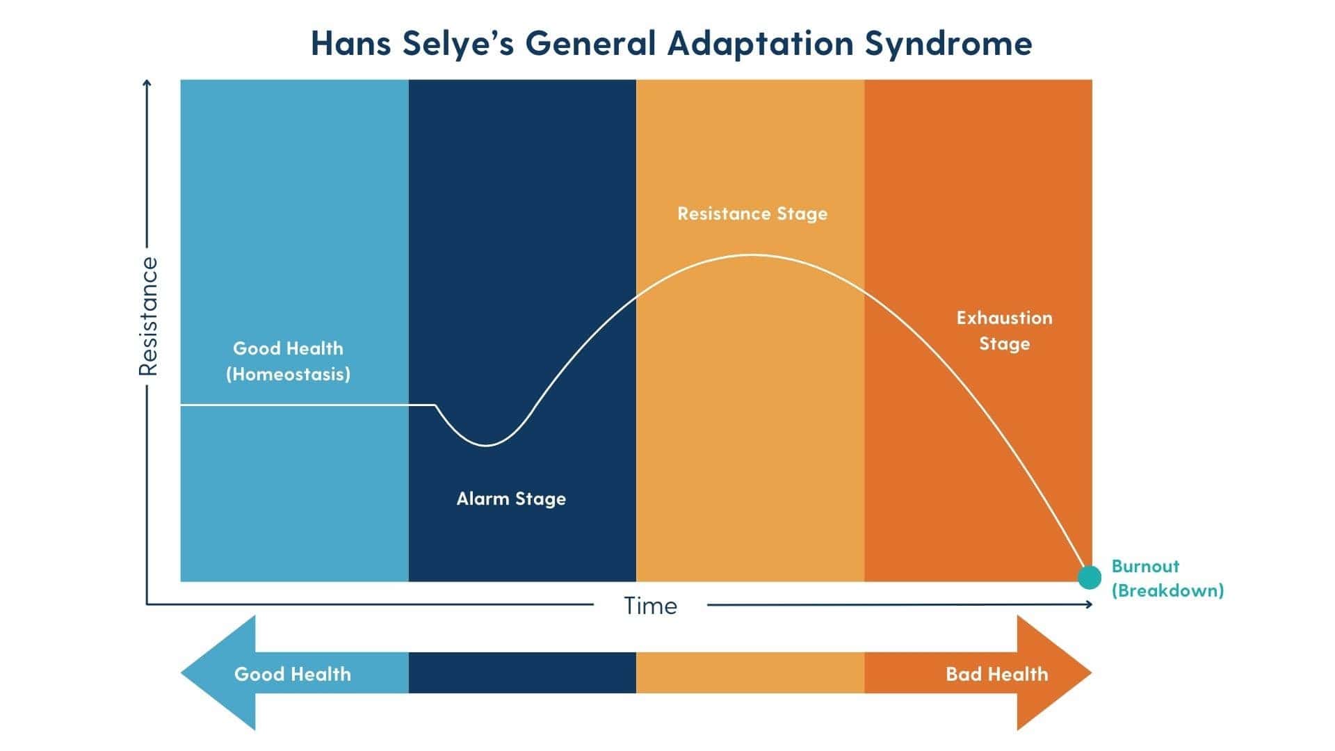 A graph visualizing the three stages of stress response in General Adaptation Syndrome: alarm, resistance, and exhaustion.