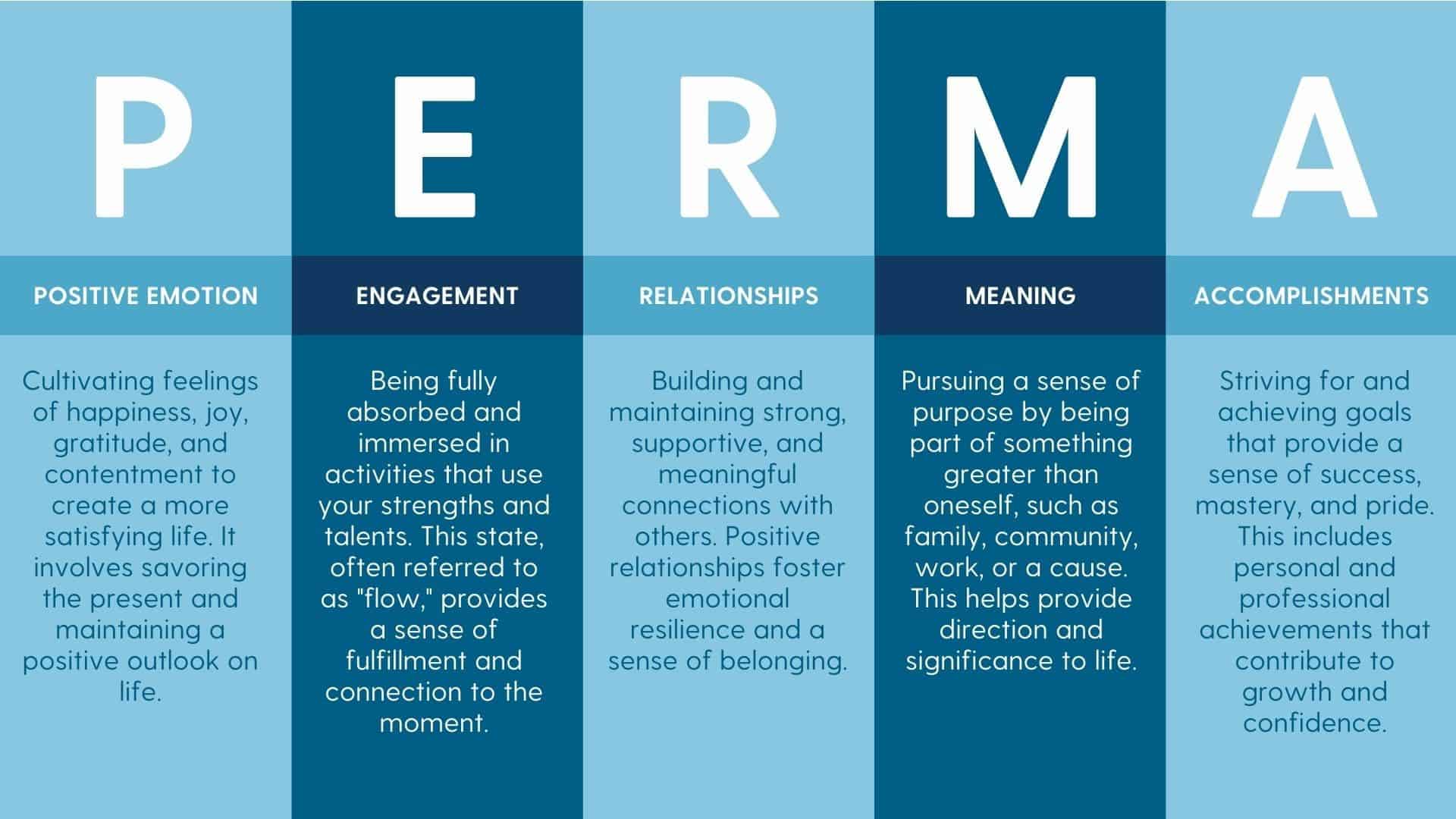 A diagram illustrating the five pillars of well-being in the PERMA model: Positive Emotion, Engagement, Relationships, Meaning, and Accomplishment.