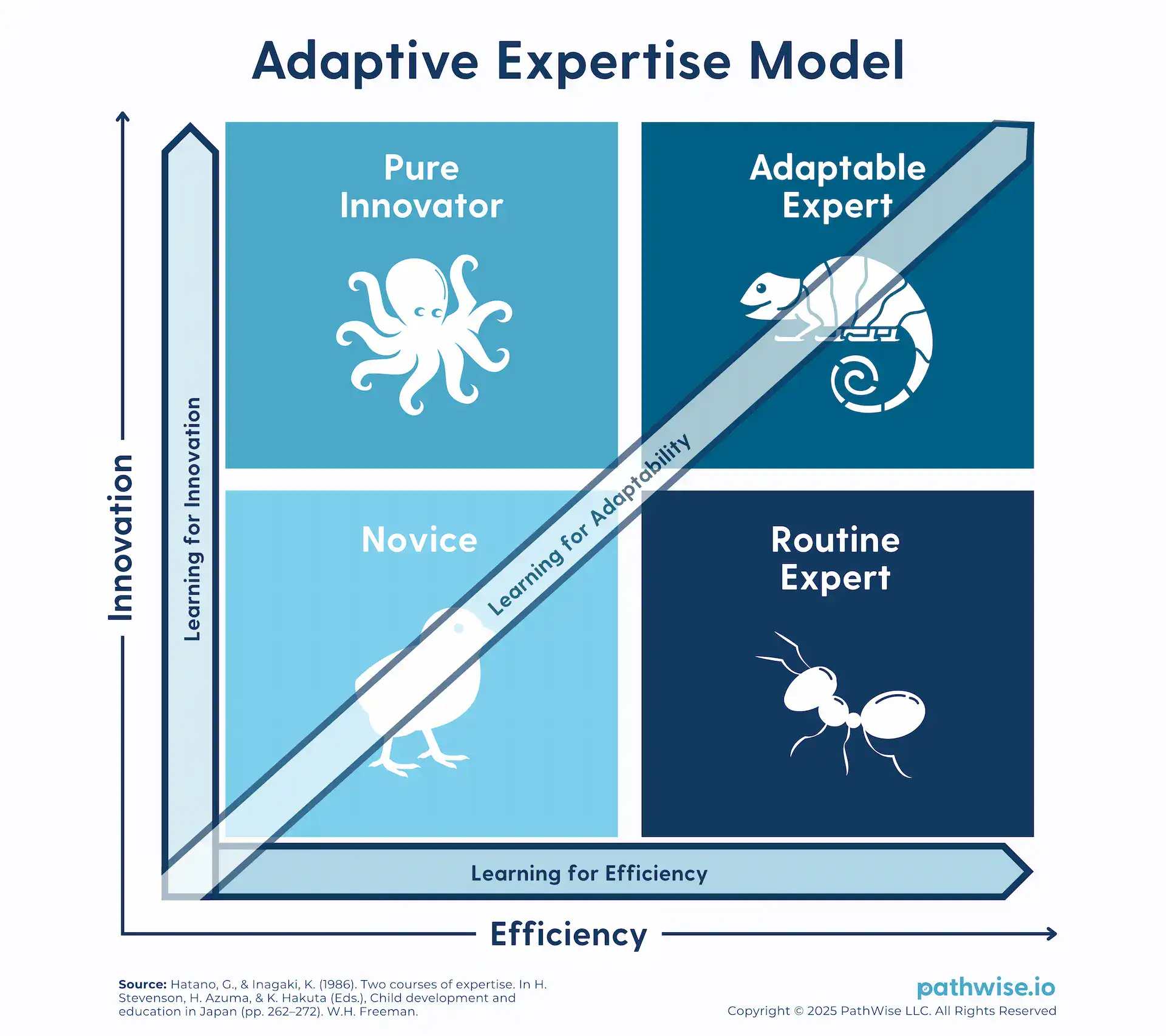 A 2x2 matrix visualization of the adaptative expertise model.