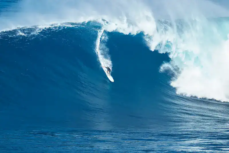 Surfer riding a powerful wave, illustrating the feeling of being fully focused and in flow at work.