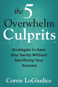 Career Sessions, Career Lessons | Corrie LoGiudice | Escape Overwhelm
